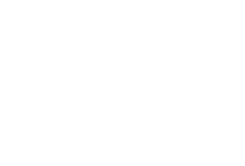friendly roofing logo upscaled white